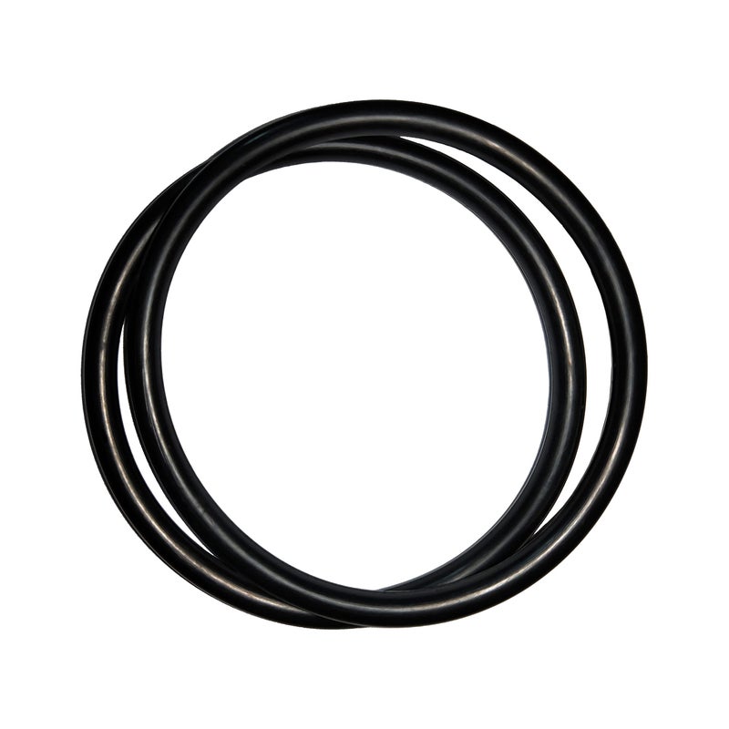 Koatukys R172009 O-Ring for Pentair Model 300/320 Pool and Spa Chlorinator Lid (2/Pack) - Image 1